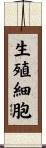 生殖細胞 Scroll