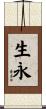 生永 Scroll