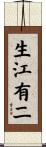 生江有二 Scroll