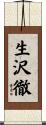 生沢徹 Scroll