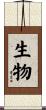 生物 Scroll