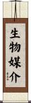 生物媒介 Scroll
