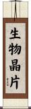 生物晶片 Scroll