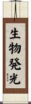 生物発光 Scroll