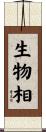生物相 Scroll