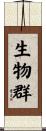 生物群 Scroll