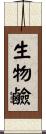 生物鹼 Scroll