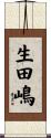 生田嶋 Scroll