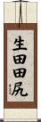生田田尻 Scroll