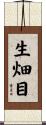 生畑目 Scroll
