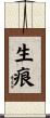 生痕 Scroll