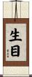 生目 Scroll