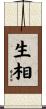 生相 Scroll
