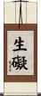 生礙 Scroll