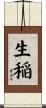 生稲 Scroll