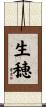 生穂 Scroll