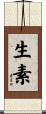 生素 Scroll