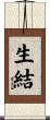 生結 Scroll