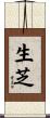 生芝 Scroll