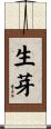 生芽 Scroll