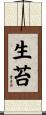 生苔 Scroll