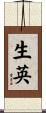 生英 Scroll
