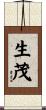 生茂 Scroll
