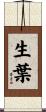 生葉 Scroll