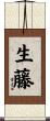 生藤 Scroll