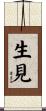 生見 Scroll