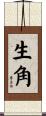 生角 Scroll