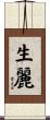 生麗 Scroll