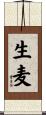 生麦 Scroll
