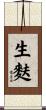 生麩 Scroll