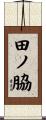田ノ脇 Scroll