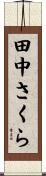 田中さくら Scroll