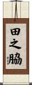 田之脇 Scroll