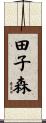 田子森 Scroll