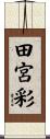 田宮彩 Scroll