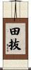 田抜 Scroll