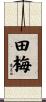 田梅 Scroll
