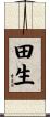 田生 Scroll
