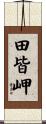 田皆岬 Scroll