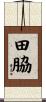 田脇 Scroll