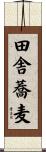 田舎蕎麦 Scroll