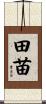 田苗 Scroll