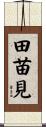 田苗見 Scroll