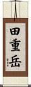 田重岳 Scroll
