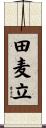 田麦立 Scroll