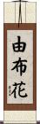 由布花 Scroll